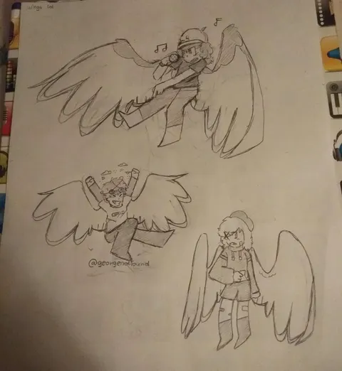 wings_doodles